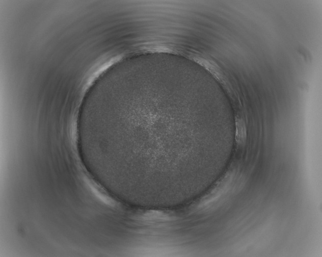 X0000114160390200910221613