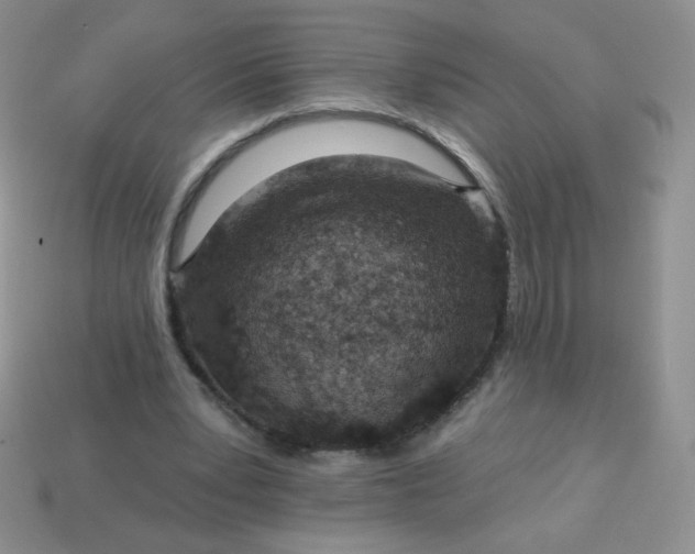 X0000114160391200910221613