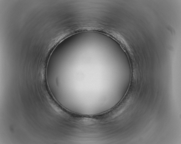 X0000114160393200910221613