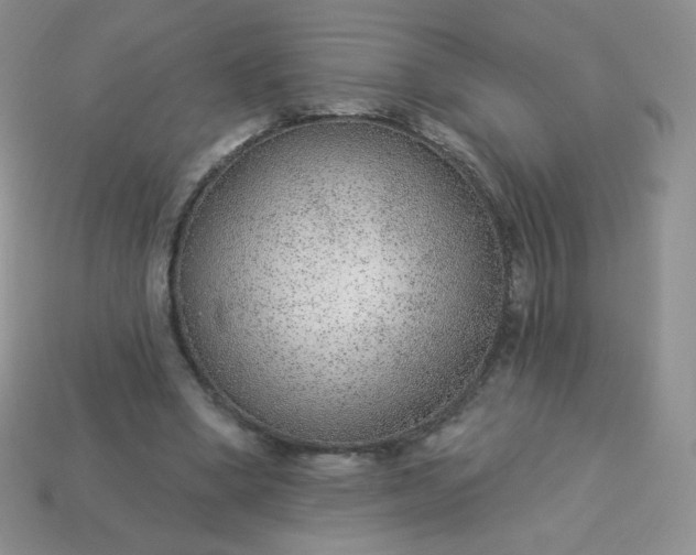 X0000114160394200910221613