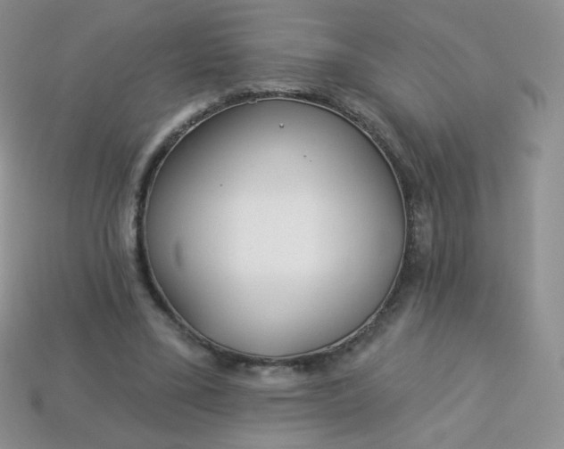 X0000114160395200910221613