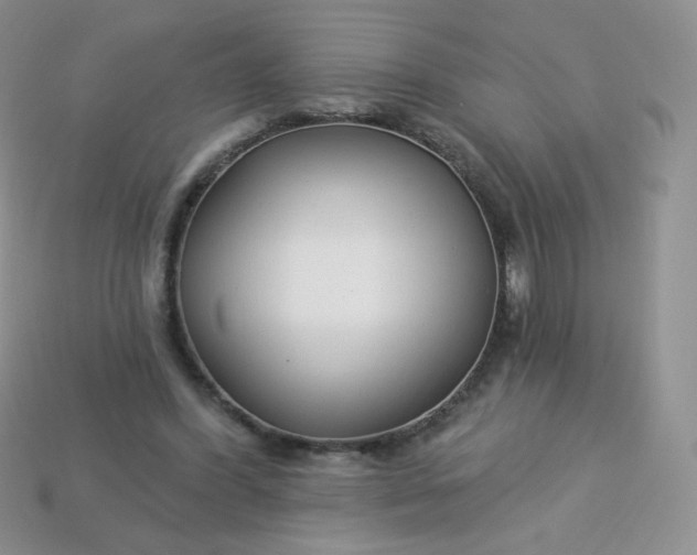 X0000114160396200910221613