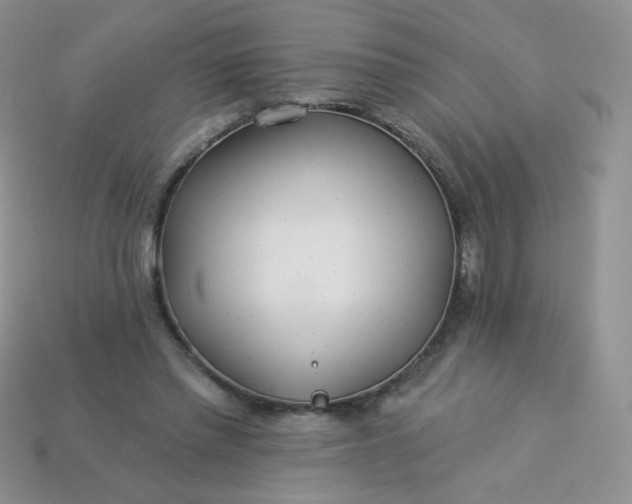 X0000114160397200910221613