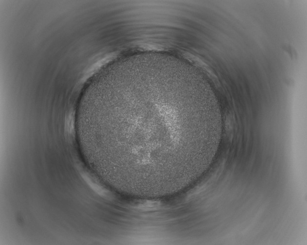 X0000114160398200910221613