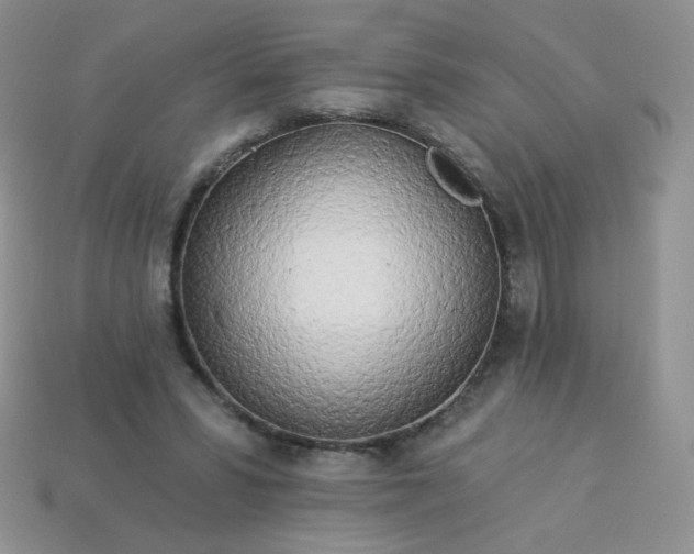 X0000114160399200910221613