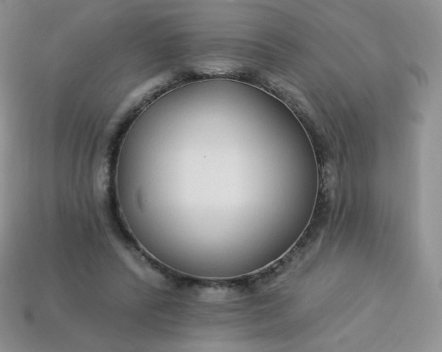 X0000114160400200910221613