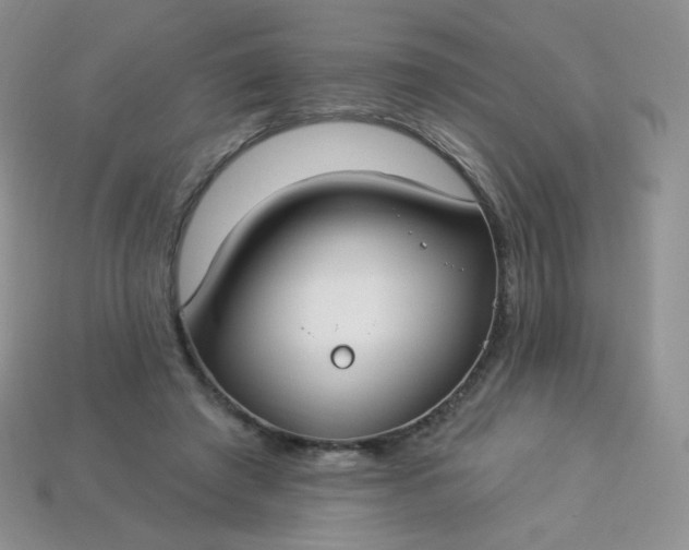 X0000114160401200910221613