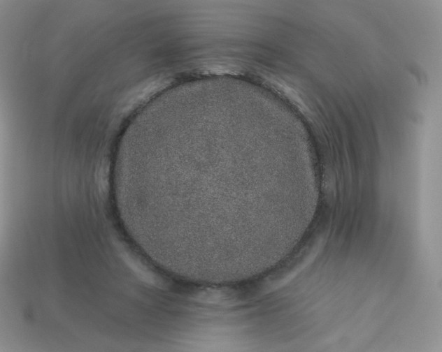 X0000114160402200910221613