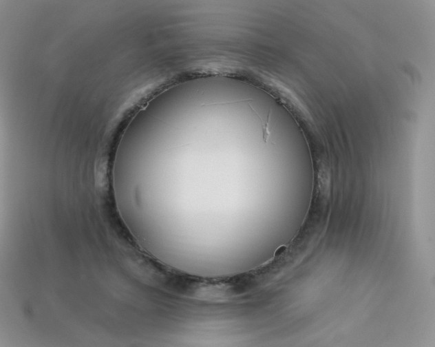 X0000114160403200910221613