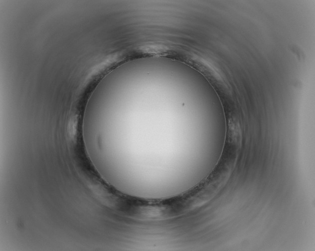 X0000114160404200910221613