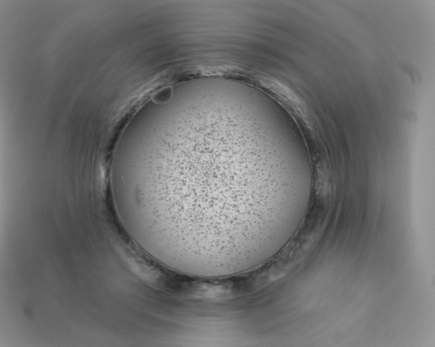 X0000114160405200910221612