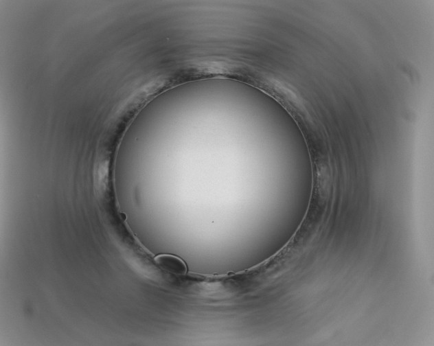 X0000114160406200910221612