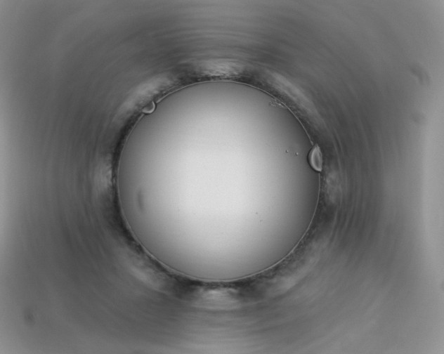 X0000114160407200910221612