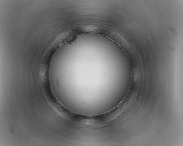 X0000114160408200910221612