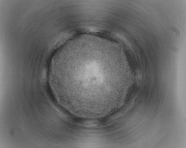 X0000114160410200910221612