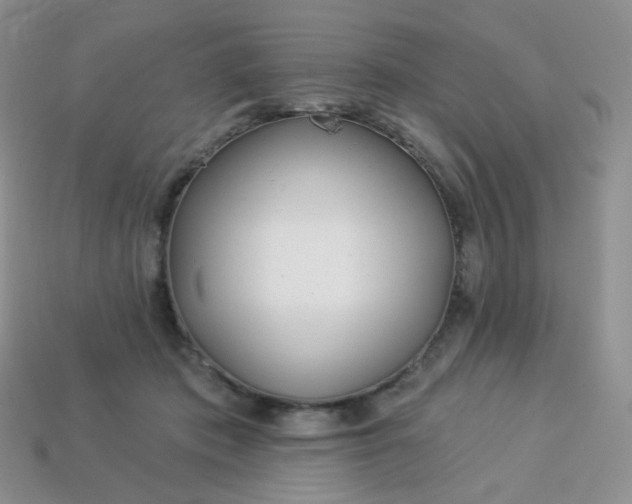 X0000114160413200910221612