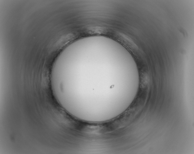 X0000114160414200910221612