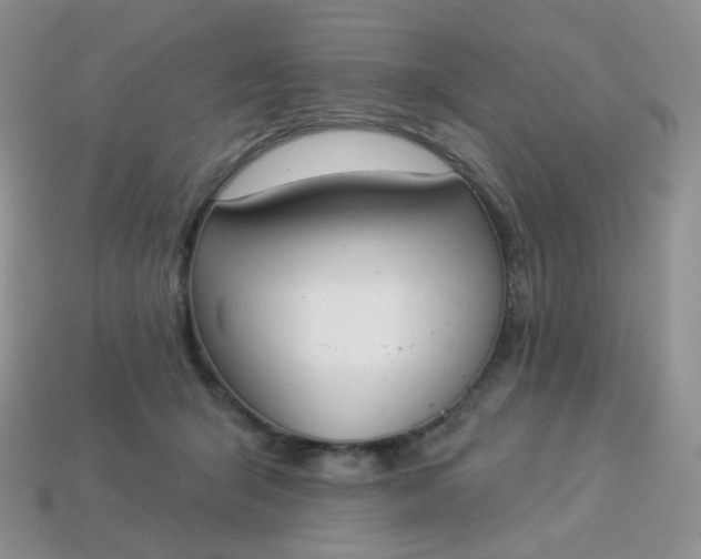 X0000114160415200910221612