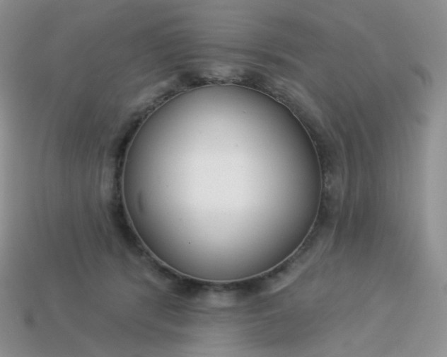 X0000114160416200910221612