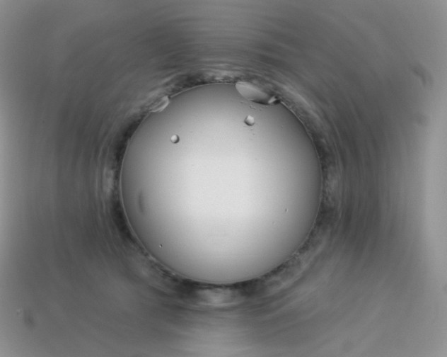 X0000114160417200910221612