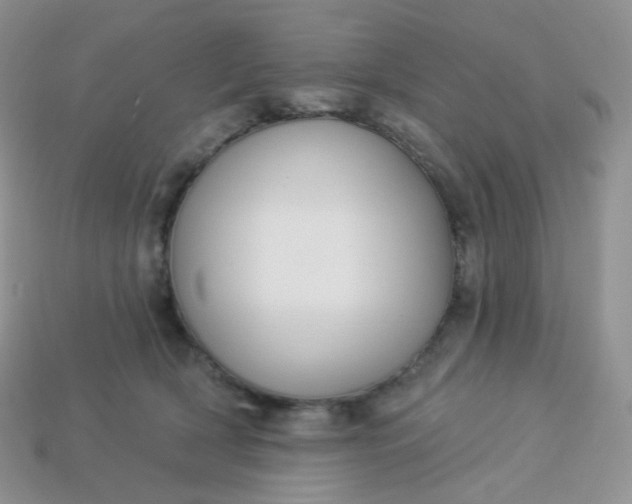 X0000114160418200910221612