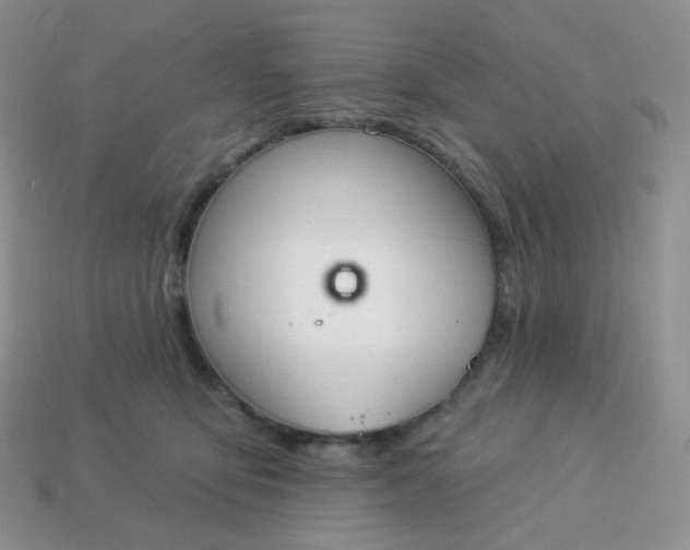 X0000114160419200910221612