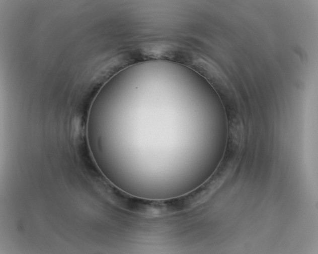 X0000114160420200910221612