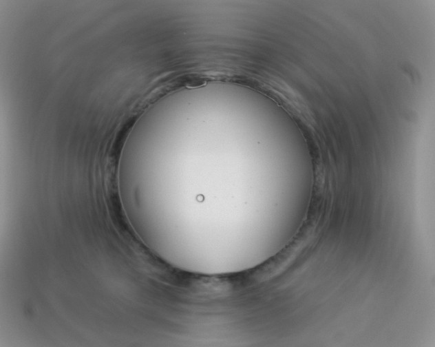 X0000114160421200910221612