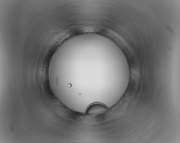 X0000114160422200910221612