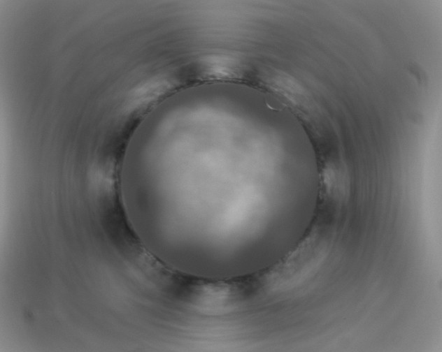 X0000114160423200910221612