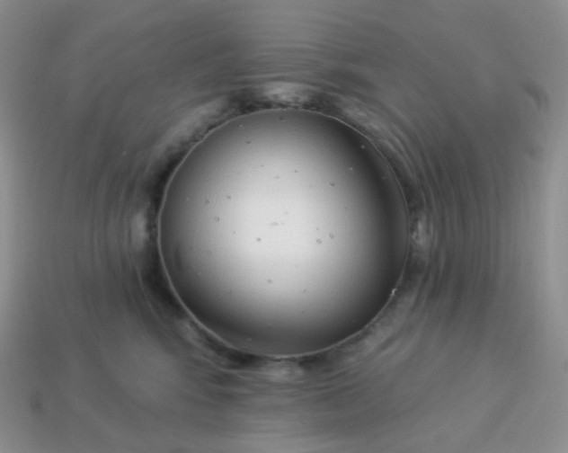 X0000114160424200910221612