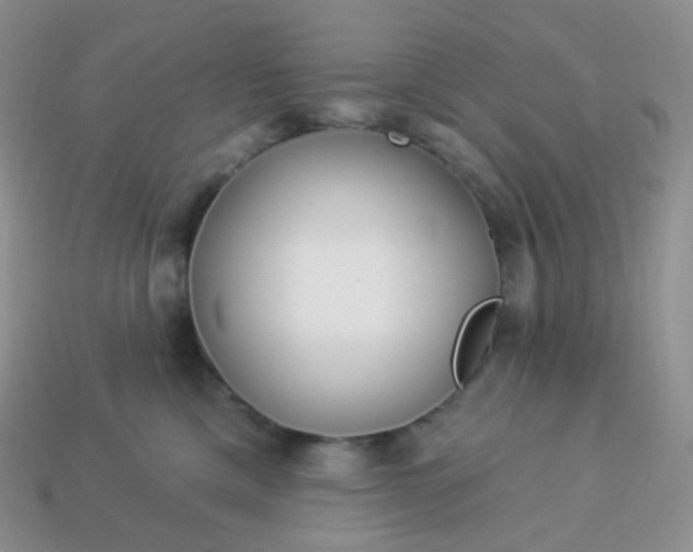 X0000114160425200910221612