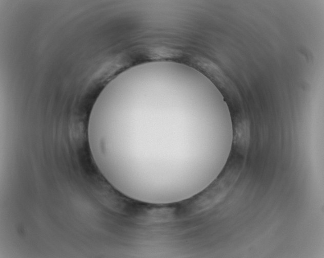 X0000114160426200910221612