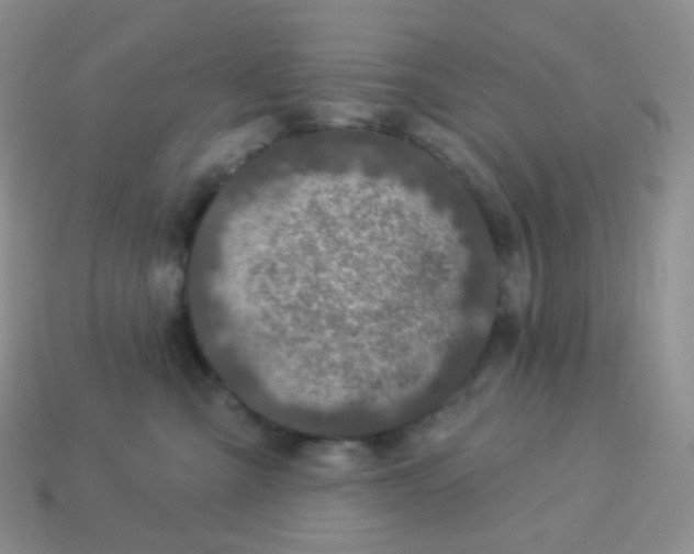 X0000114160427200910221612