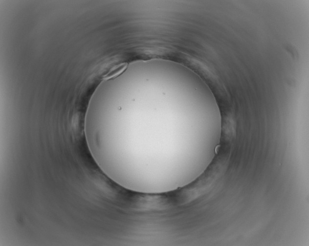 X0000114160428200910221612