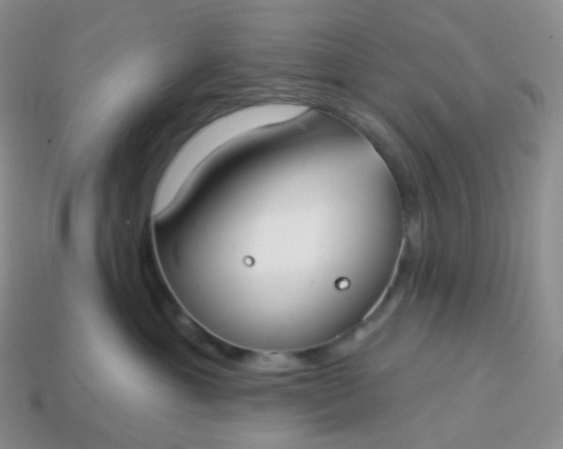 X0000114160429200910221612