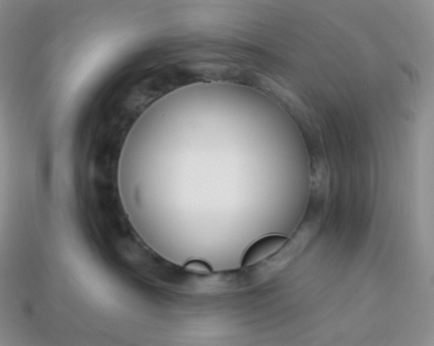 X0000114160430200910221612