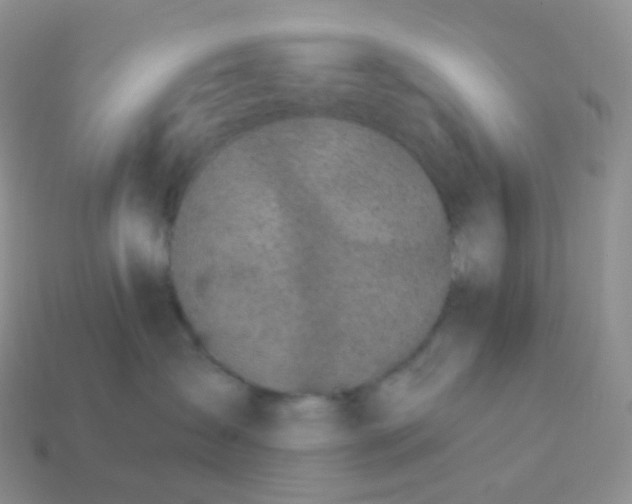 X0000114160431200910221612