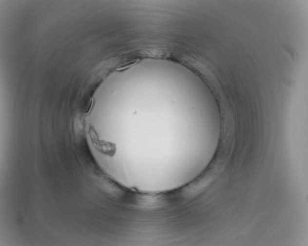 X0000114160432200910221612