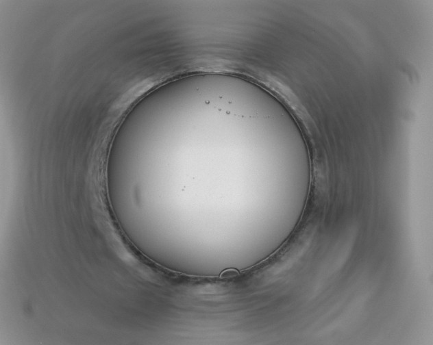 X0000114160433200910221611