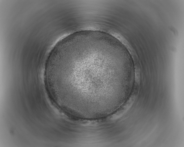 X0000114160434200910221611