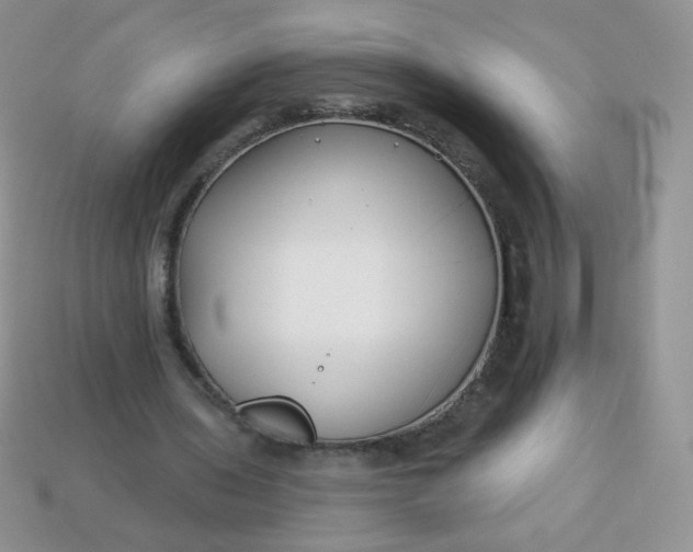 X0000114160435200910221611