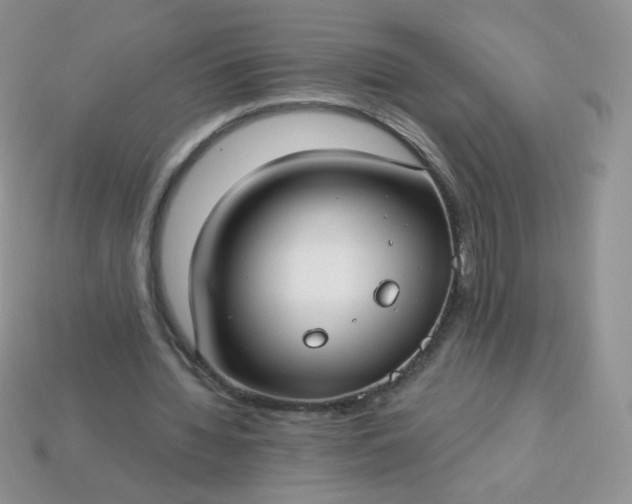 X0000114160436200910221611