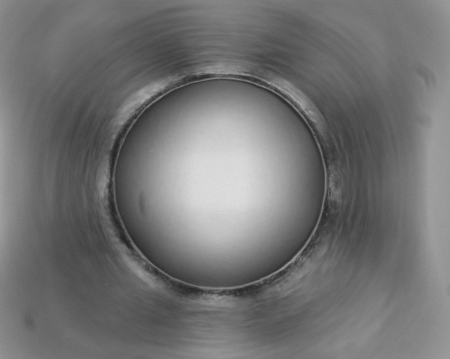 X0000114160437200910221611