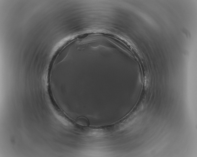 X0000114160438200910221611