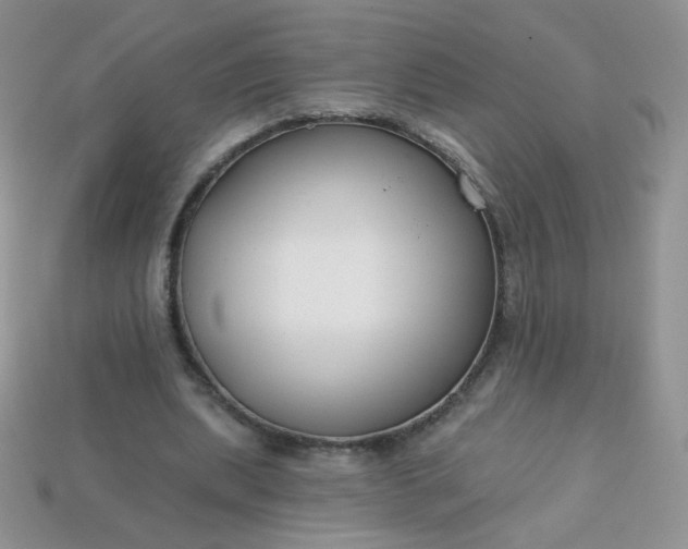 X0000114160439200910221611