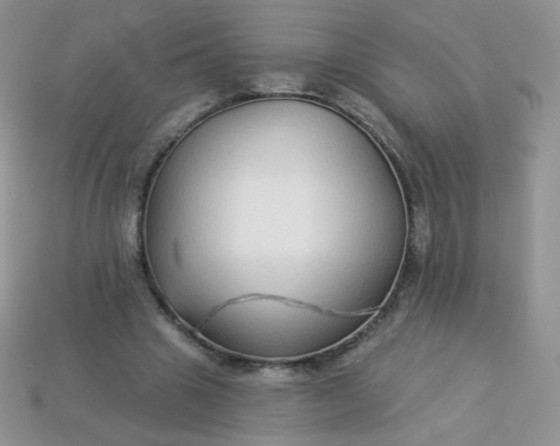 X0000114160441200910221611