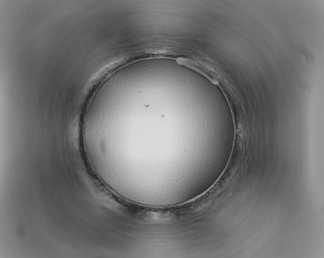 X0000114160442200910221611