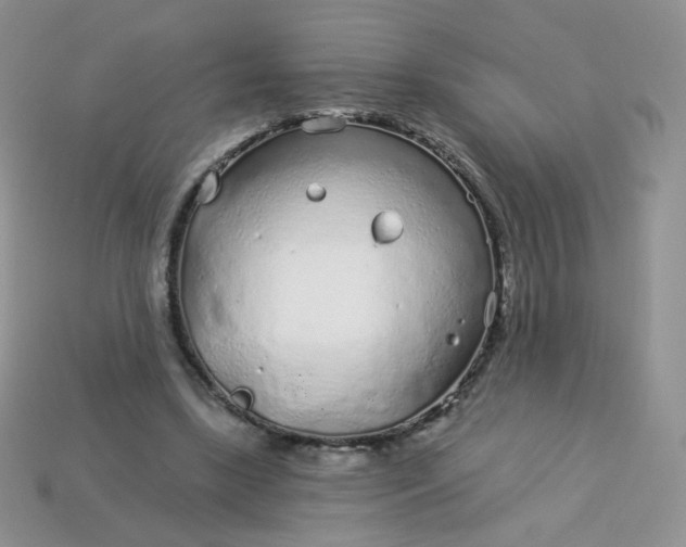 X0000114160443200910221611