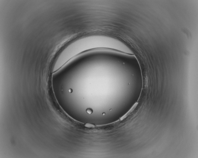 X0000114160444200910221612